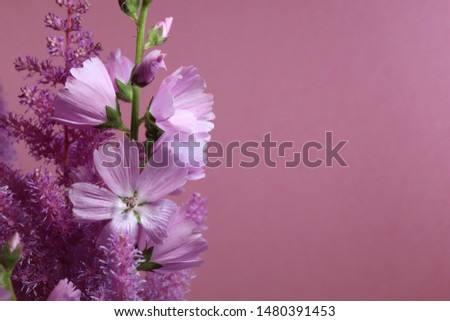 Bouquet of delicate lilac flowers on a pink background. Template for greeting card.
