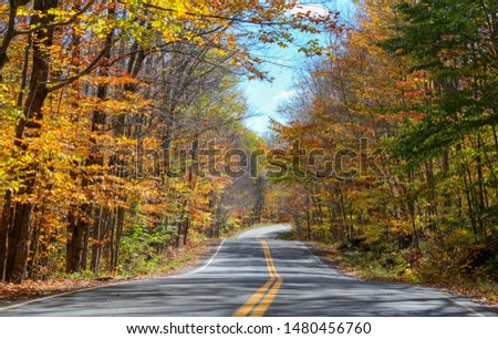 Mountain Road Through a Colourful Forest of Maple Trees in Adirondacks, NY