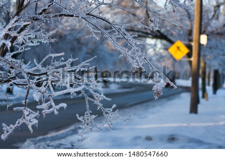 This photo of frozen branches with crossing sign in the background taken after the 2010 ice storm in Toronto which result in a major power outage that lasted several days.