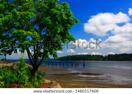 a picture of an exterior Pacific Northwest 
Puget sound shoreline