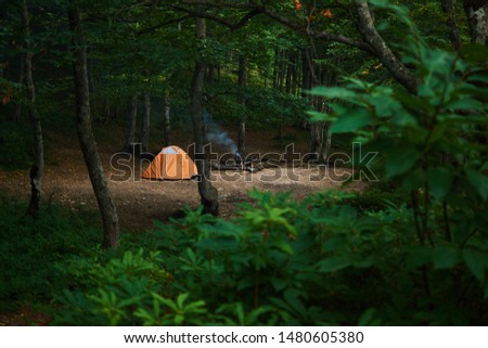 Adventures camping tourism. Orange tent in the green misty forest.