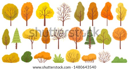 Yellow autumn trees. Colorful garden tree, autumnal garden bush and fall season tree leaves. Forest gold and green branches, autumn yellow and orange park trees. Isolated vector illustration icons set