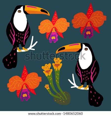 Vector set of toucan birds, tropical plant and orchids. Summer design elements. Collection of stickers for design, scrapbooking and postcards.