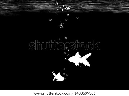 goldfish with black and white background