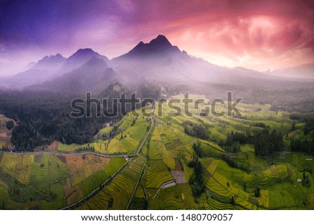 aerial view picture of the natural beauty of the mountains with morning light and morning light when the dew mist over the vast rice fields in Indonesia, Asia