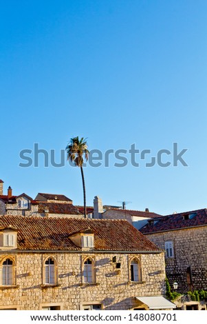 European Southern City Scape. House, Palma, Blue Sky, Resort & Holiday. Hvar. Croatia. High quality stock photo.