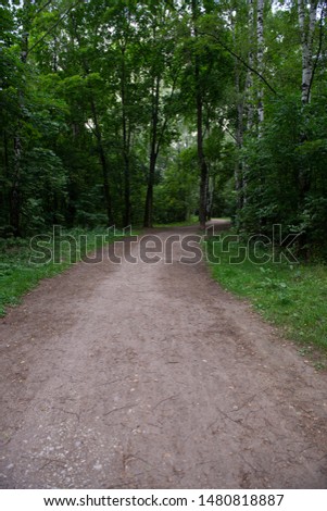 Personal perspective of walking on a path in the forest
