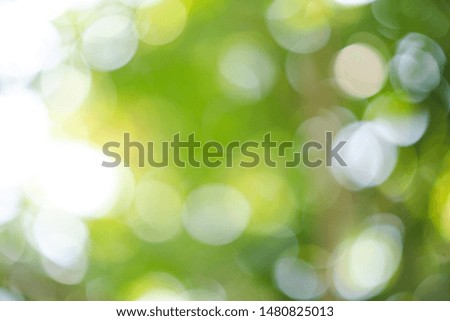 Green nature blurred bokeh green background.  Ecology, Nature, alternative energy concept.
