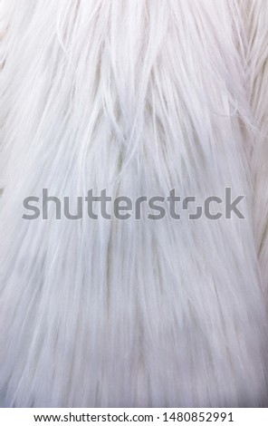 white fur texture background. Surface abstract fabric pattern 


