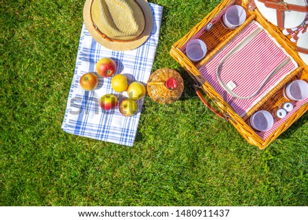 Green lawn with pic nic concept. Set of glasses and plates