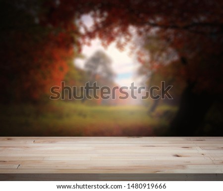 Wooden table in front of a colorful autumn landscape. 