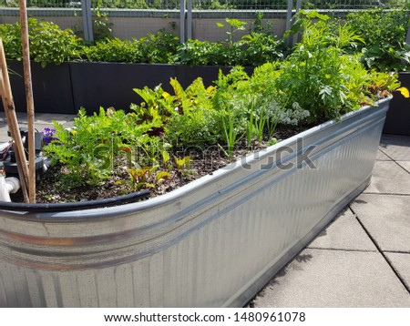 A horse trough being used as a creative outdoor planter in a rooftop garden.