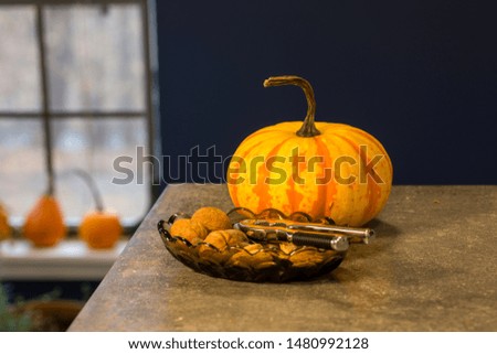 Kitchen full of autumn fruit ready to be made into pies and used for decoration. Autumn colors celebration concept.