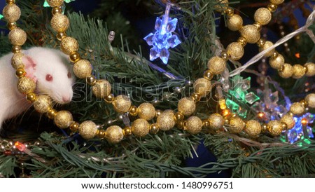 white rat, Christmas animal 2020. sits on a Christmas tree among gold and multi-colored garlands