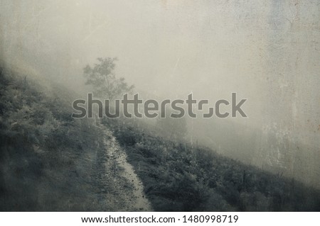 A spooky path going into the distance, on a hill on a foggy day, with a blurred, abstract, grunge, vintage edit.