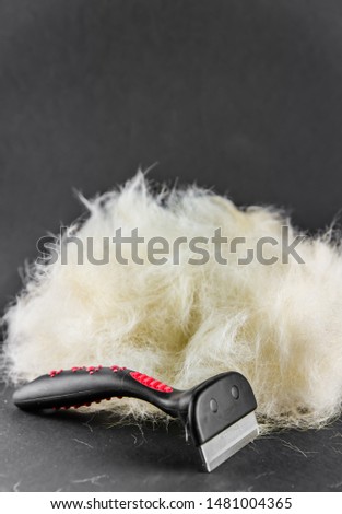 Labrador dog hair during molting and brush