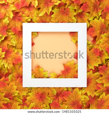 Creative minimal autumn concept on pastel background made with white frame and a lot of multi-colored maple leaves. Top view and copy space layout
