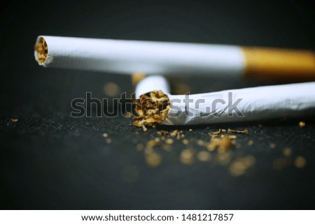 An pieces of cigarette break and detail of tobacco isolated black background.  