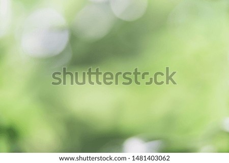 Background screen with beautiful light mirror pattern