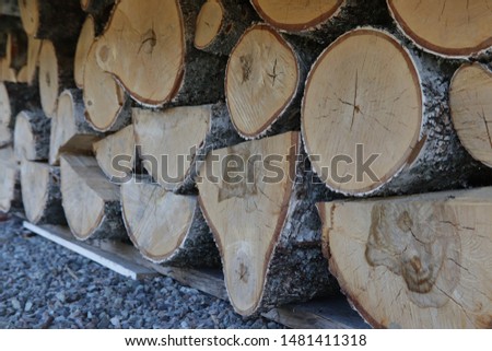 Stacks of Firewood. Preparation of firewood for the winter. Wall firewood, background of dry chopped firewood in a pile.