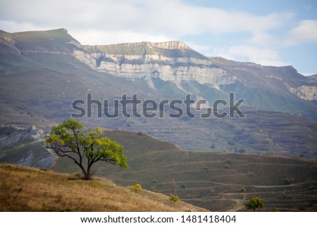 Picture of mountain with tree, blue sky with clouds
