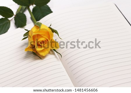 Notepad with a fresh yellow Rose.