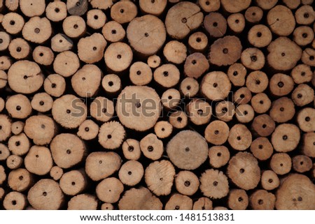 Natural log. Abstract pictures. Log