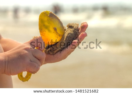 Hands of a child close-up. A child plays with sand and a shovel on the beach.