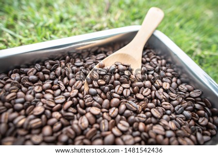Roasted Coffee Beans, Coffee Beans
