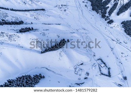Snow Mountain Coniferous Forest in Western Xinjiang China