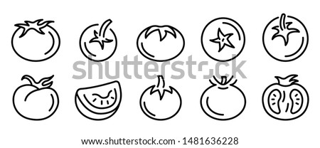 Tomato icons set. Outline set of tomato vector icons for web design isolated on white background Royalty-Free Stock Photo #1481636228