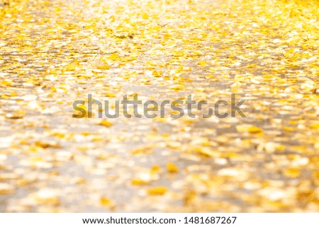 Colorful autumn leaves in rain puddle. Background.