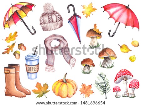 Autumn set with umbrellas, knitted hat, scarf, coffee cup, rubber boots, fly agaric mushrooms, boletus mushrooms, pumpkin and leaves. Watercolor isolated on white background.