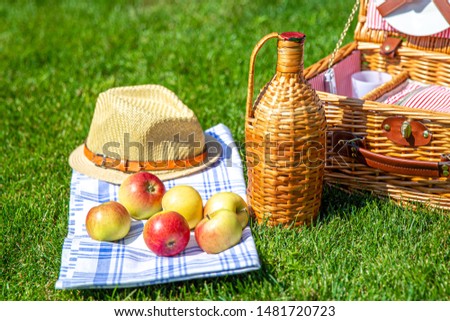 Picnic basket on green sunny lawn in the park
