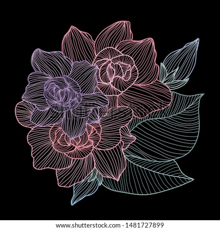 Decorative gardenia flowers, design elements. Can be used for cards, invitations, banners, posters, print design. Floral background in line art style
