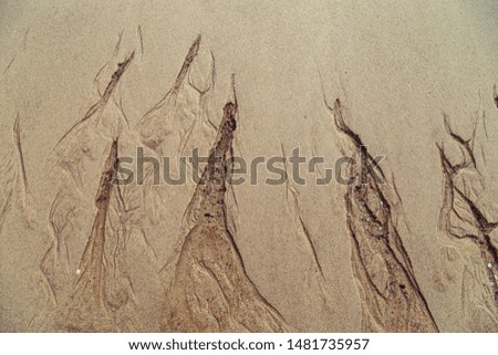 Sand water flowing on beach