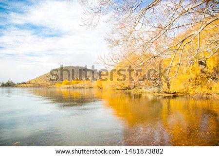 Autumn trees and mountain reflection on calm lake benmore with a good weather in the early morning time in south island of new zealand. Mirror image of lake kenmore. Spaces for your text.