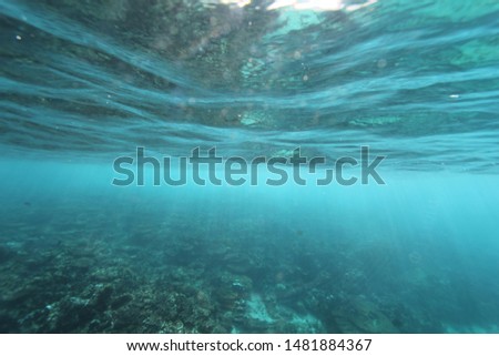 Underwater, ocean surface, rocky reef, sun rays, blue