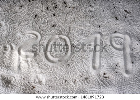 This unique photo shows the 2019 year written in the sand. This picture was taken on an island of the Maldives
