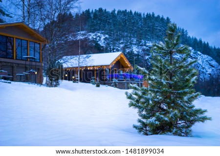 Pine on the background of cottages and snow-covered hill. Winter holidays in Karelia. Outdoor recreation. Cottage village in a pine forest. Celebrating the New year in a country house. 