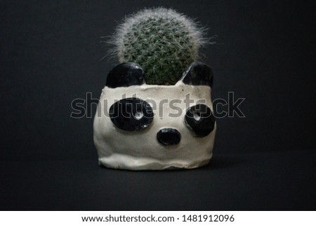 handmade clay panda planter with cute cactus plant in it. pottery, craft.