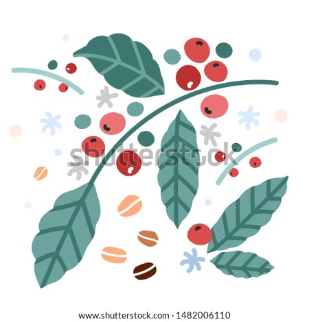 Simple hand drawn vector illustration of coffee plant branches with leaves and berries, Trendy scandinavian naive handdrawn sketch style.