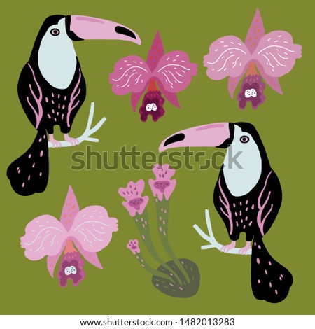 Vector set of toucan birds, tropical plant and orchids. Summer design elements. Collection of stickers for design, scrapbooking and postcards.