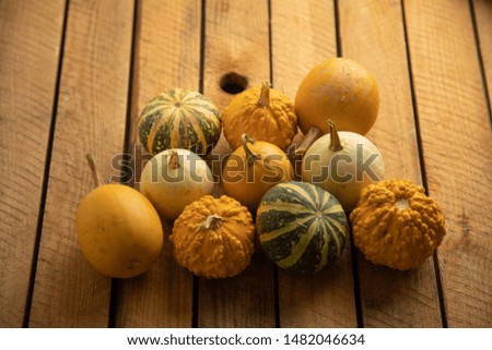 Diverse assortment of pumpkins on a wooden background. Autumn harvest.

