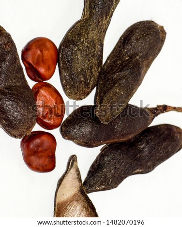 Seeds of beans on a white background. Dried beans