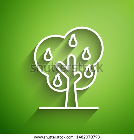 White line Tree with pears icon isolated on green background. Agricultural plant. Organic farm product. Gardening theme.  Vector Illustration