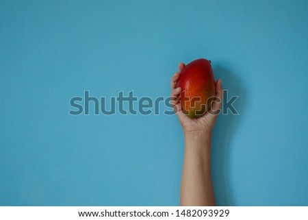 mango fruit in hand III