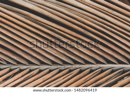 Palm leaf texture in brown  color. Tropical background 
