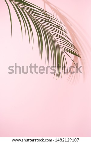 Summer beach day scene with tropical plams shadow on pink background. Minimal sunlight tropical arrangement.