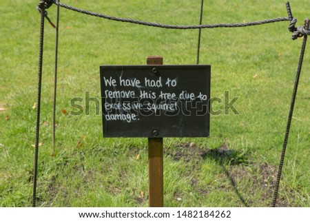 "We Have Had to Remove this Tree due to Excessive Squirrel Damage" Sign in a Park in Rural Cheshire, England, UK